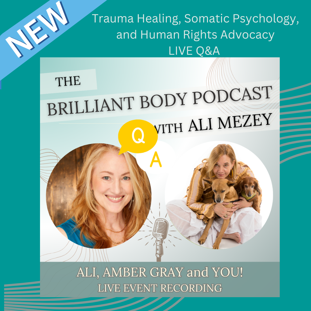 Trauma Healing, Somatic Psychology, and Human Rights Advocacy Q&A