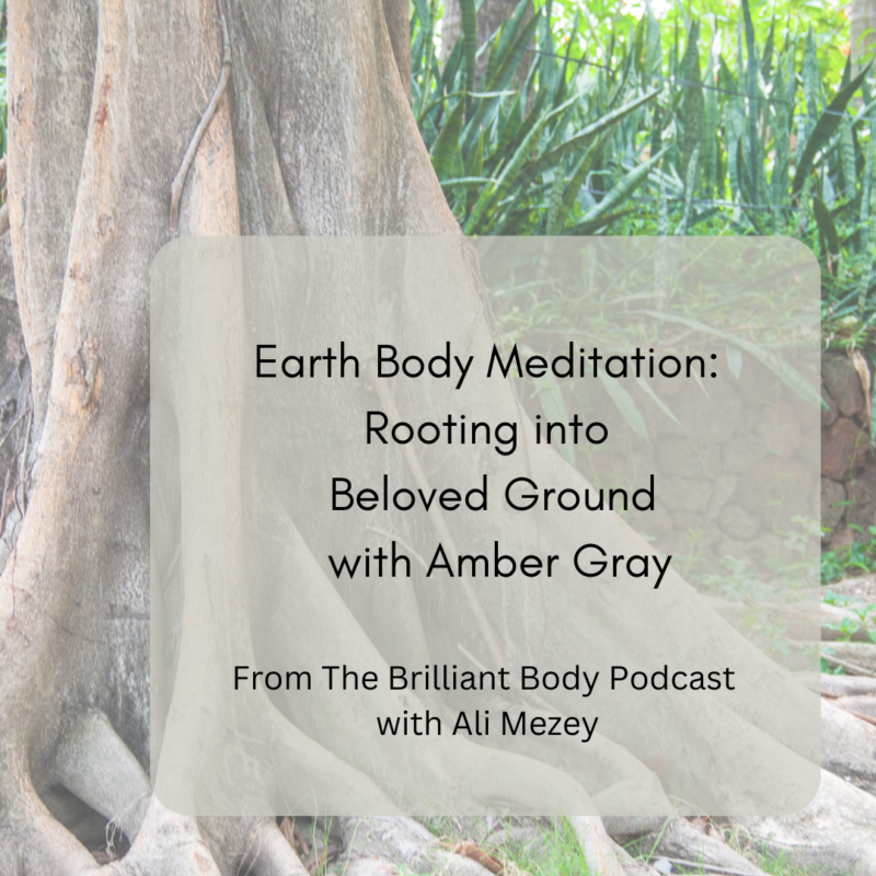 Earth Body Meditation: Rooting into Beloved Ground with Amber Gray